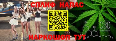 шишки Малгобек